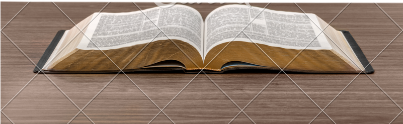 Collection Of Free Transparent Download Ubisafe Holy - Book (800x533), Png Download