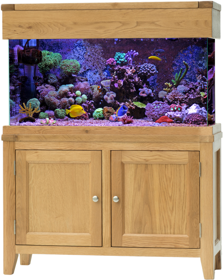 Aq100 D Scenery Marine Png - Aquarium Marin (808x1000), Png Download