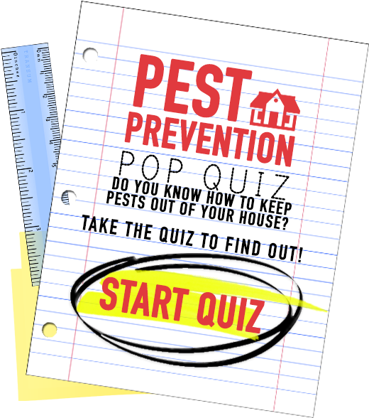 Quizbighover - Poster (526x593), Png Download
