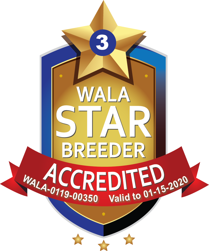 Chase Creek Wala Star Logo - Emblem (888x1067), Png Download