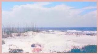 300 Feet To Ocean, Sand & Dunes - Snow (800x533), Png Download