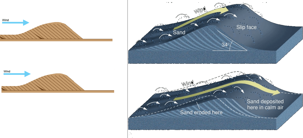 Movement Of Sand Dunes Image - Plywood (1288x589), Png Download