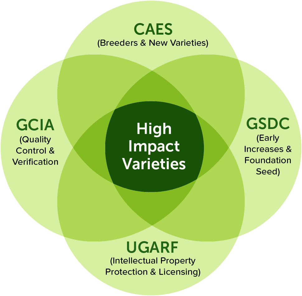 Learn More Systems Approach Infographic - Circle (970x950), Png Download