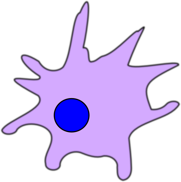 Dendritic Cell Clip Art - Dendritic Cells Png (600x601), Png Download