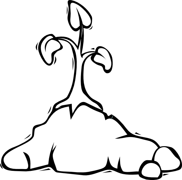 Transparent Garden Clip Art (600x591), Png Download