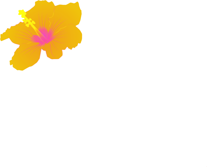 Hibiscus Clip Art (800x644), Png Download