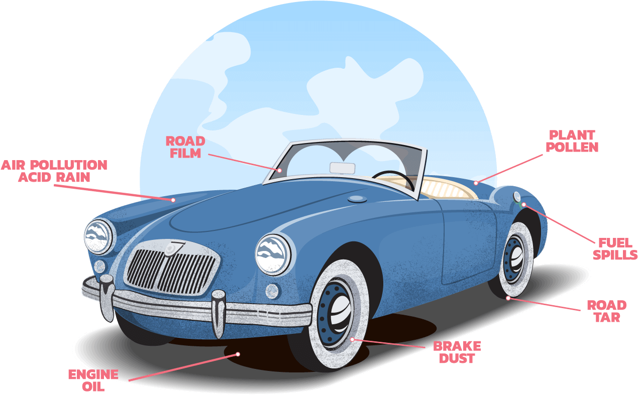 Our State Of The Art Car Wash Water Reclaim System - Картинки З Днем Водія (1280x839), Png Download