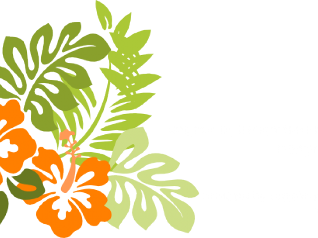 Hawaiian Flower Vector Black And White (640x480), Png Download