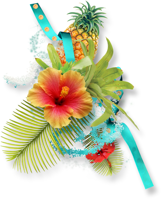 Hibiscus Clipart Download - Pineapple (649x800), Png Download