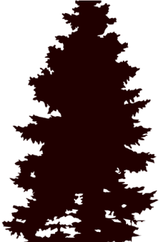 Pine Tree Vector - Tree (640x480), Png Download