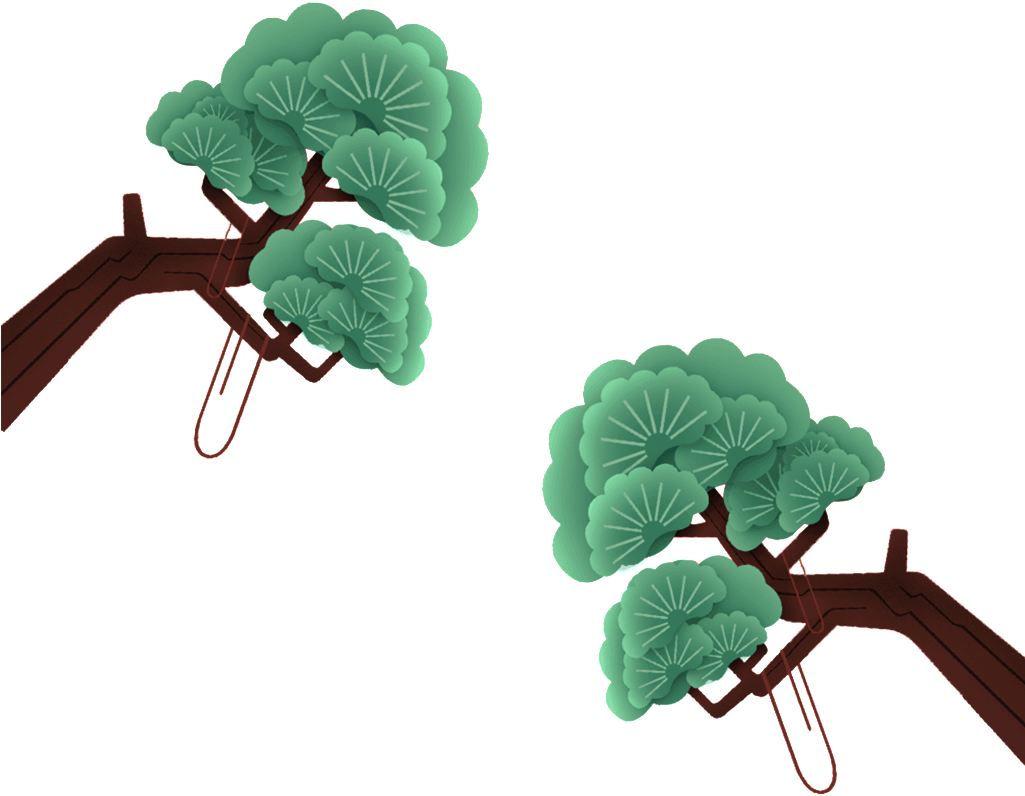 Hand Drawn Pine - 松柏 手繪 (1024x941), Png Download