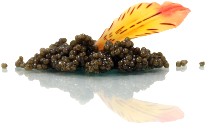 Caviar Deals To Gobble Up This Thanksgiving - Fruit (789x469), Png Download