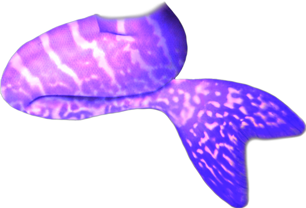 Mermaid Tail Scmermaids Purple Galaxy Rh Picsart Com - Purple Mermaid Tail Transparent (1024x696), Png Download