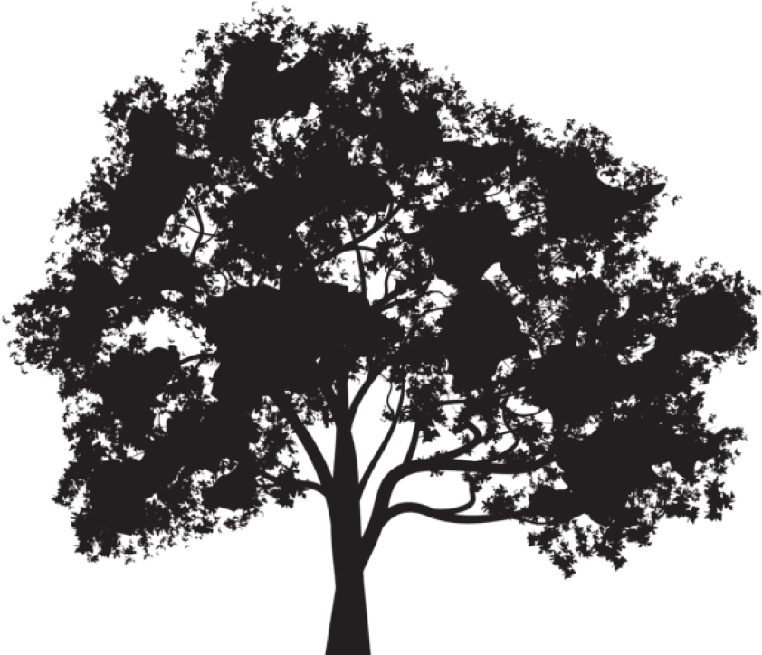 Free Png Tree Silhouette Png - Tree Silhouette Png Transparent (850x737), Png Download