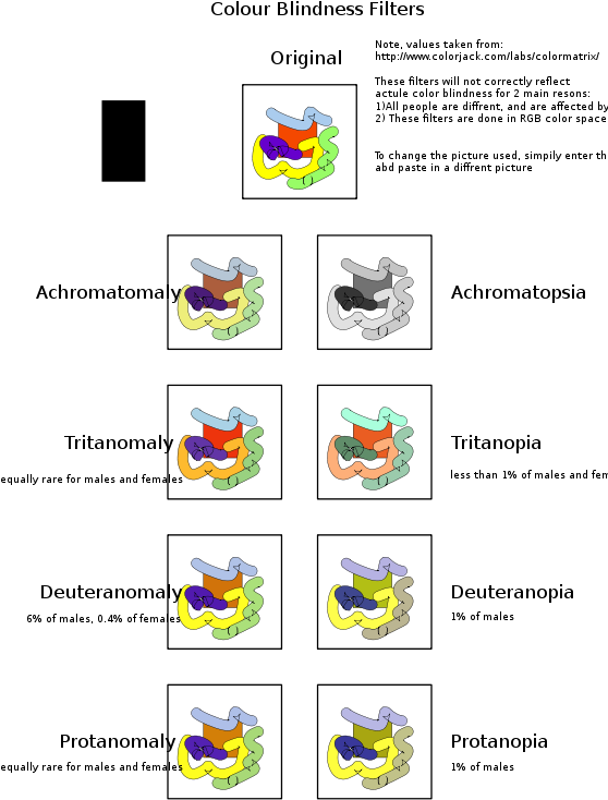 Color Blindness Filters (566x800), Png Download