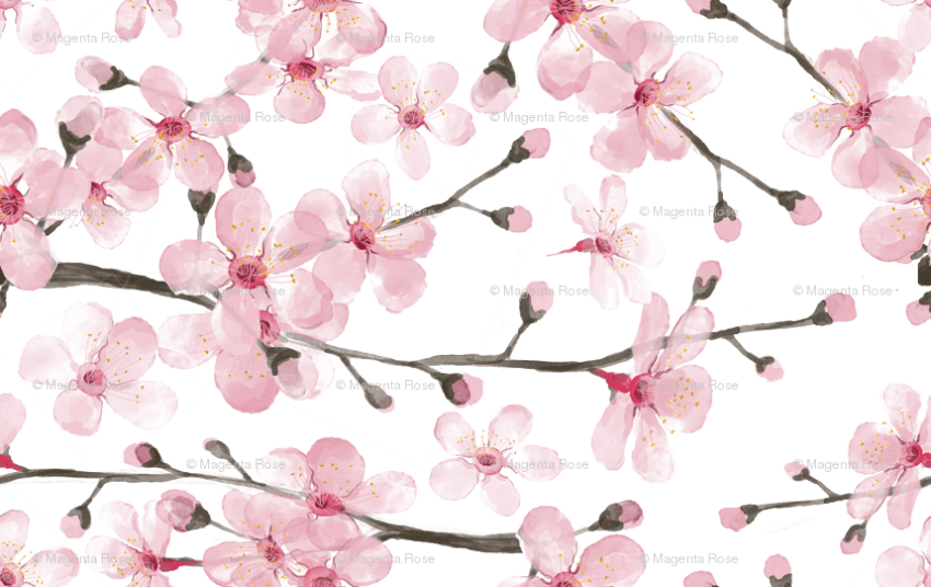 Free Png Download Cherry Blossom Watercolor Png Images - Cherry Blossom Pattern Fabric (850x536), Png Download