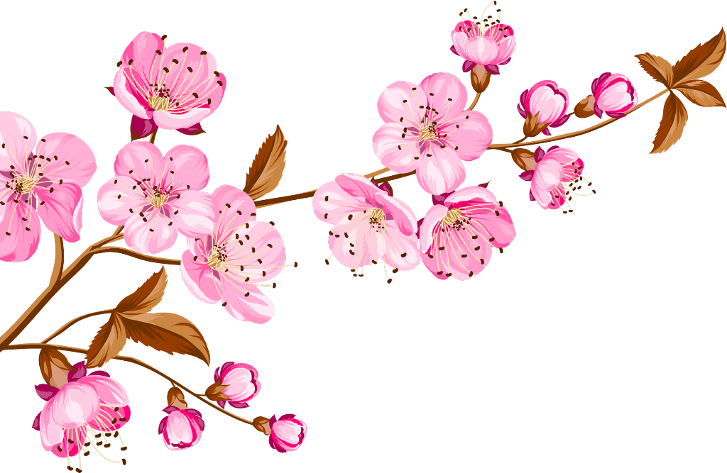 Cherry Sticker - Happy Mother's Day Cherry Blossom (1024x667), Png Download