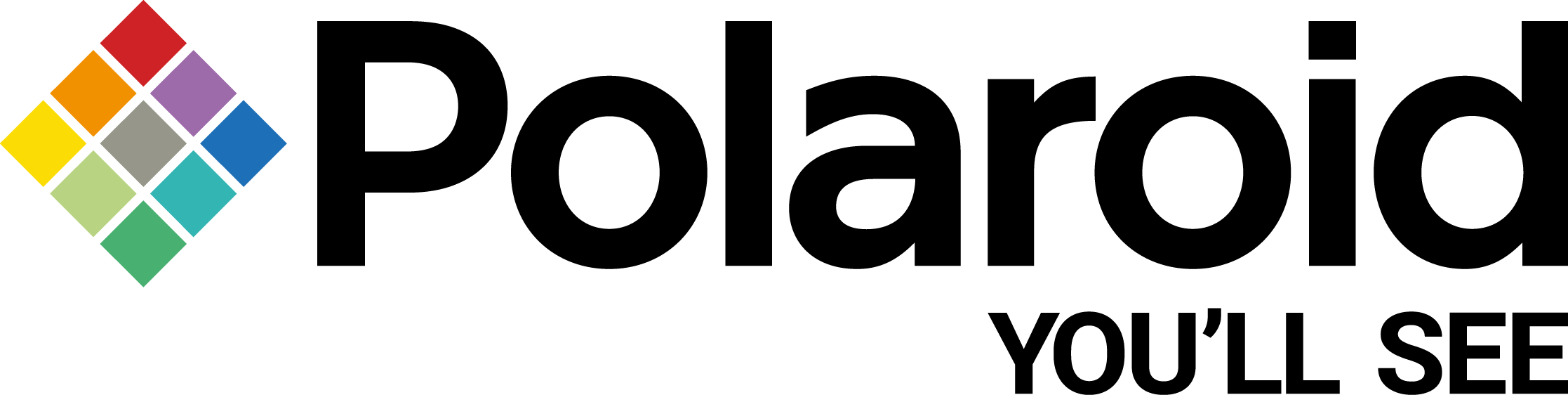 Authentic Sunglasses Polaroid Sunglasses, Polarized - Polaroid Eyewear Logo Png (2234x562), Png Download