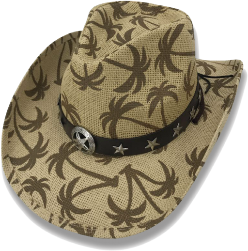 Cowboy Hat (600x600), Png Download