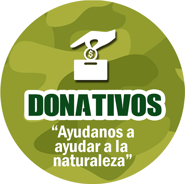 ©vallazoo - - Cape Hatteras Light (600x600), Png Download