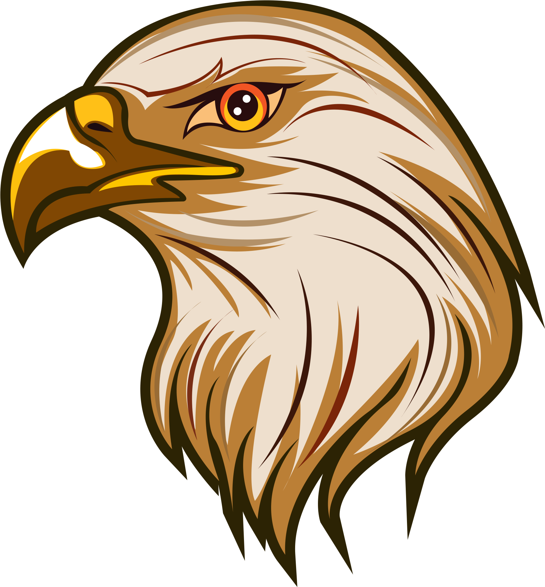 Download - Bald Eagle (2048x2048), Png Download