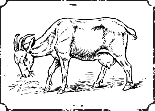 Goat Clip Art (320x228), Png Download