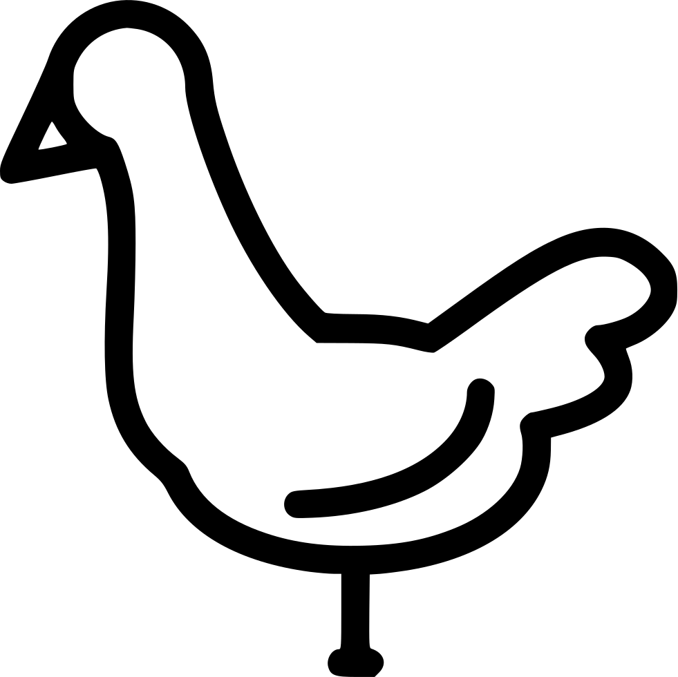 Chicken Icon - Chicken Icon No Background (981x980), Png Download