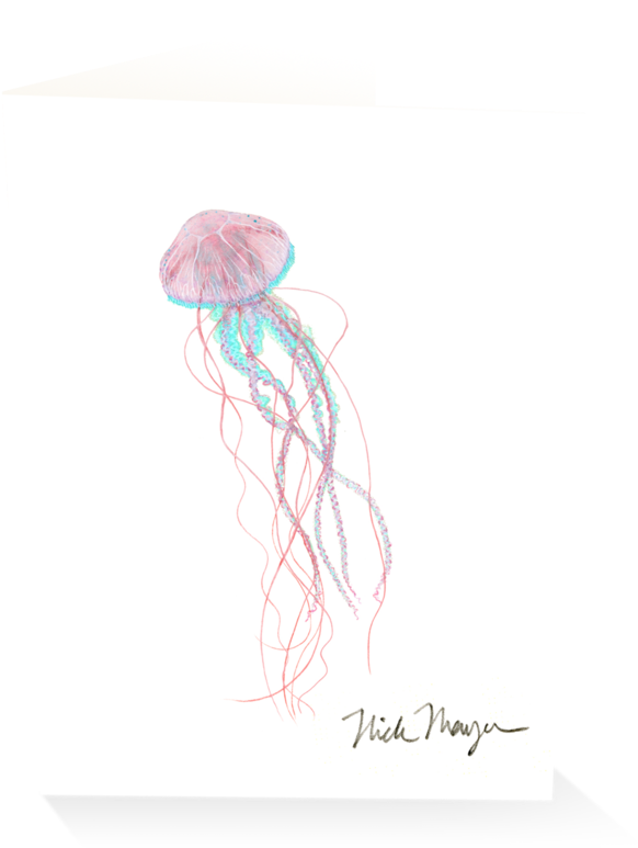 Sign Up And Get 10% Off - Sketch (1024x825), Png Download