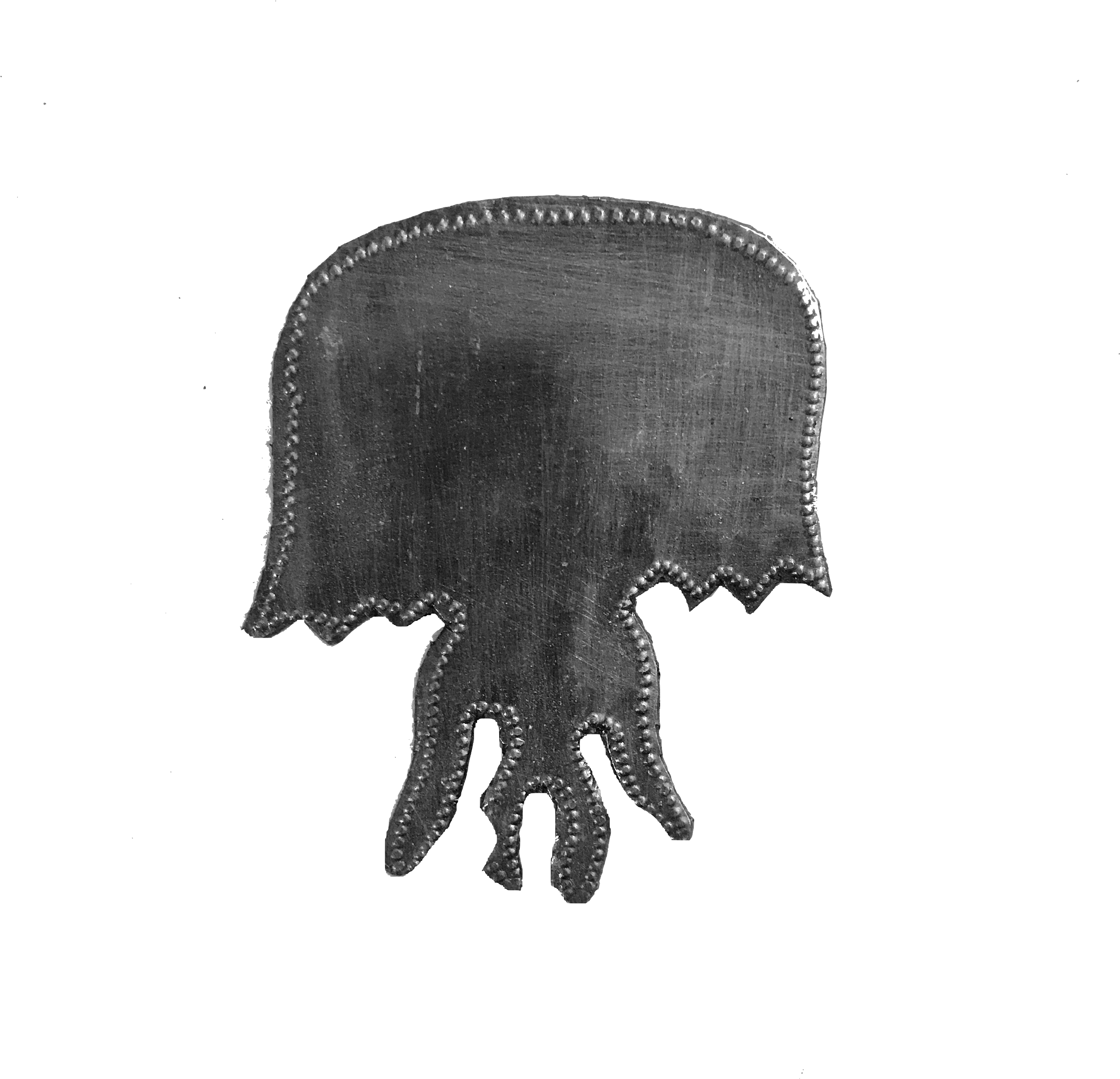 Jelly Fish - Illustration (3024x3024), Png Download