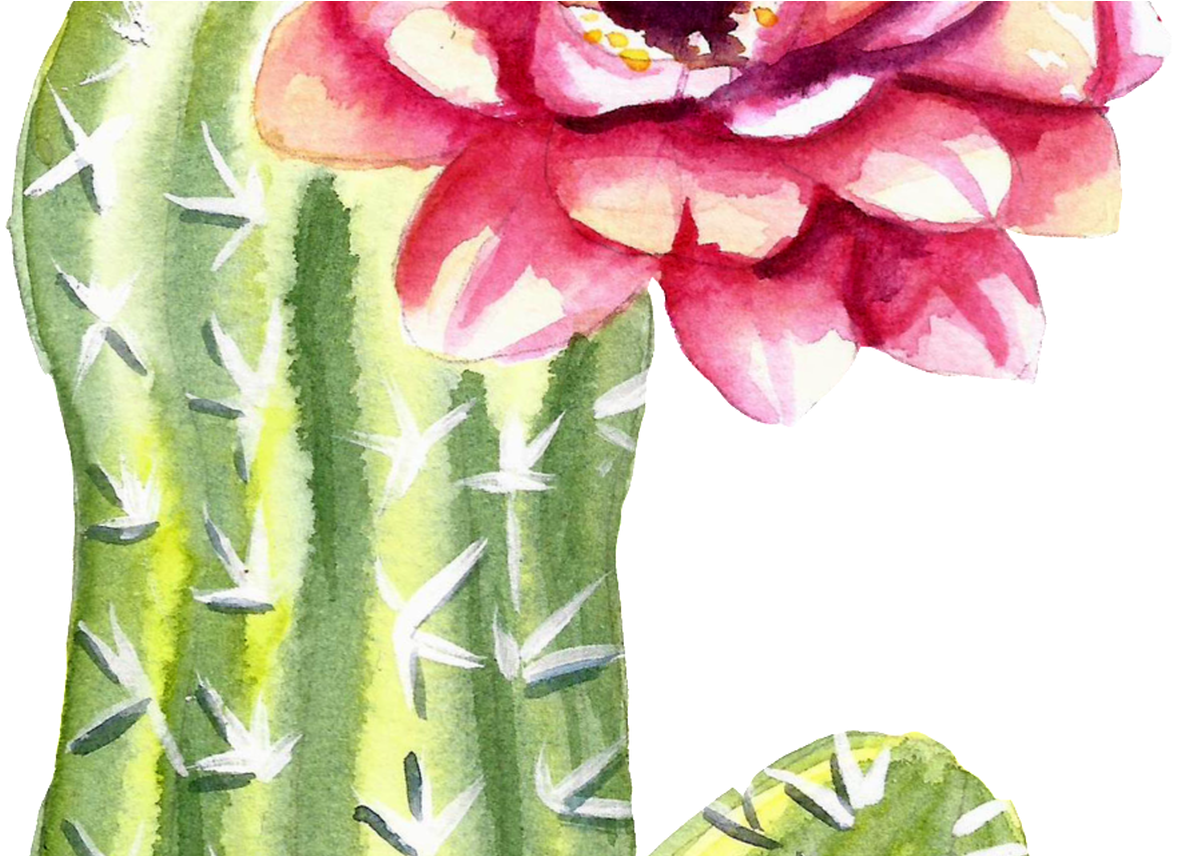 Green Watercolor Hand Painted Cactus Flower Transparent Watercolor Cartoon Cactus Transparent Full Size Png Download Seekpng