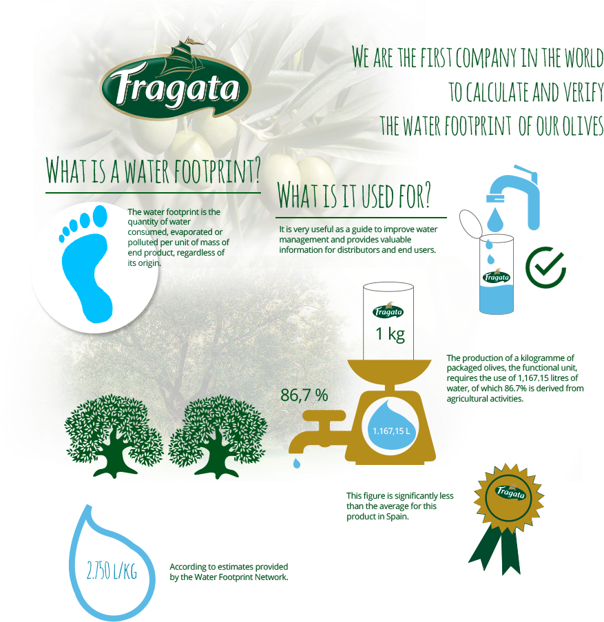 Fragata Water Footprint Olives - Water Footprint Olives (950x940), Png Download