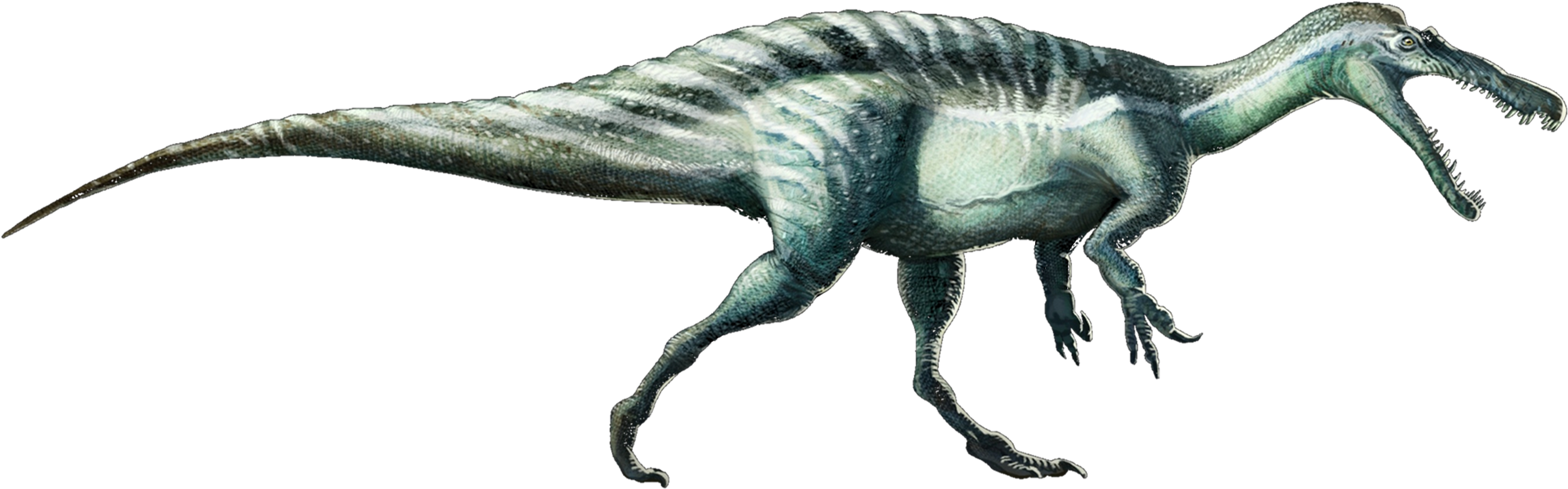 Suchomimustenerensis - Suchomimus Png (2671x920), Png Download