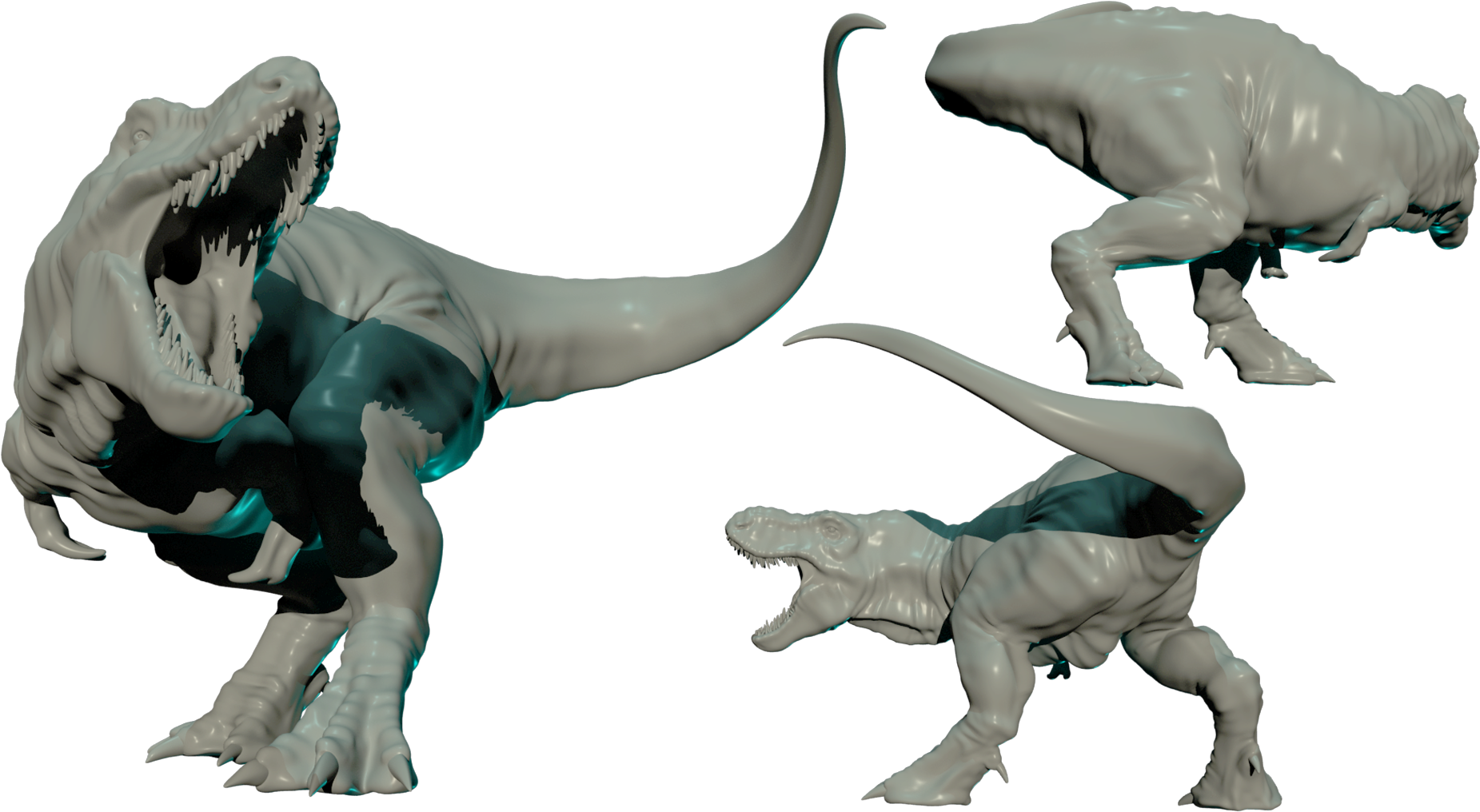 5 Inch Print At The Tip Of The Tail - Illustration (1920x1080), Png Download