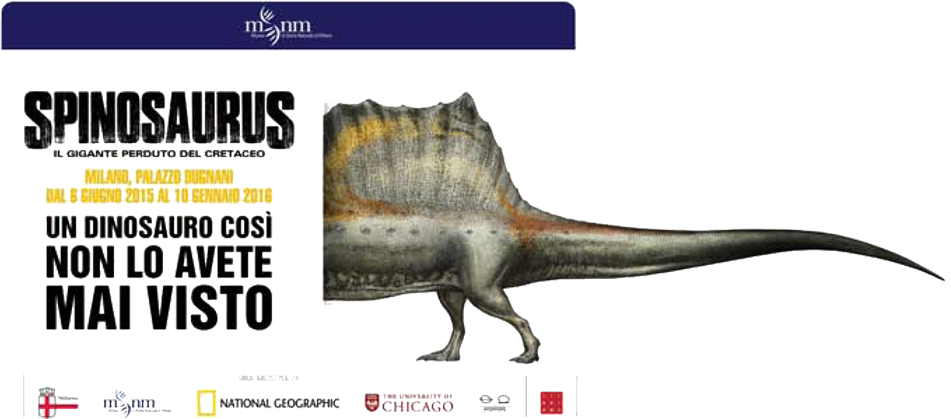 Il Gigante Perduto Del Cretaceo - Velociraptor (1894x830), Png Download