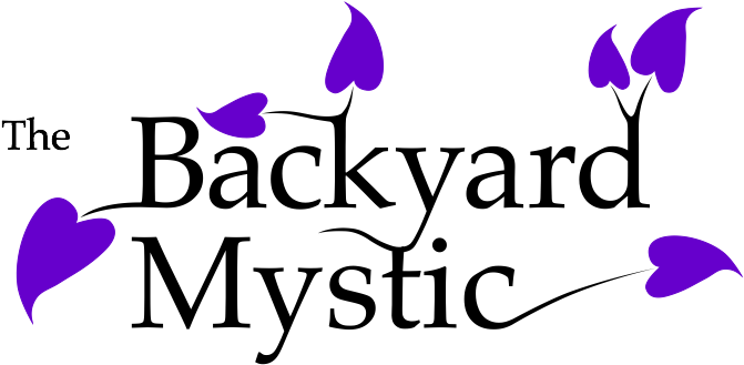 Calligraphy (800x500), Png Download