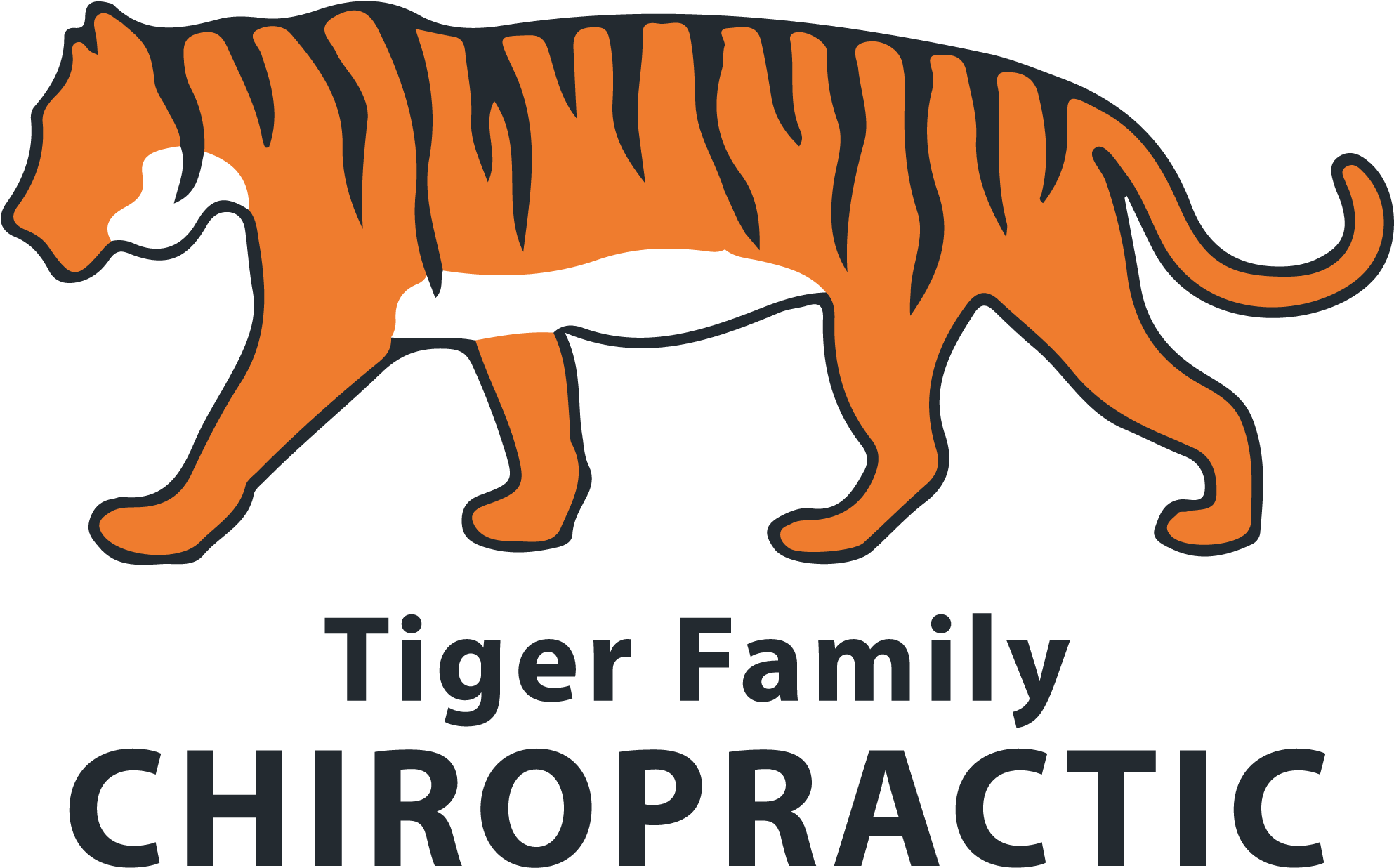 Chiropractor In Columbia, Mo - Bengal Tiger (2055x1344), Png Download