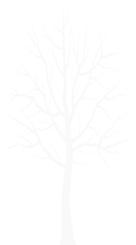 Free Png White Winter Tree Png - Darkness (480x860), Png Download