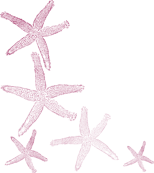 Fish Clip Art (534x598), Png Download