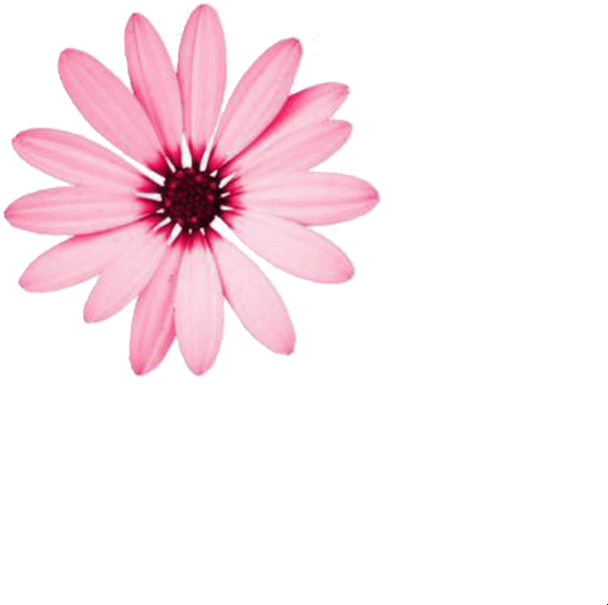 Nail (750x750), Png Download