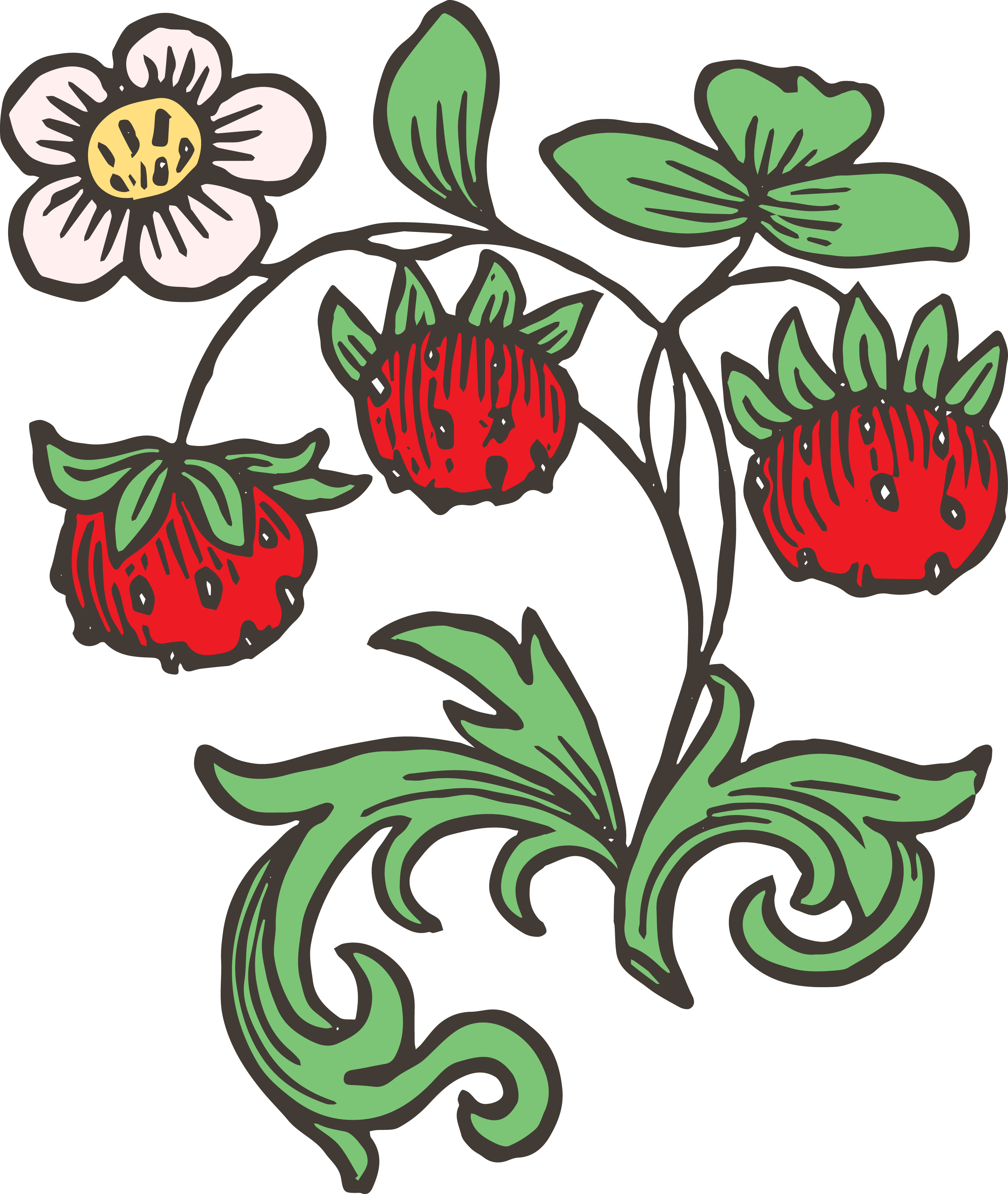 Vintage Strawberry Clipart Vector Art Free And Featured - Art Nouveau Strawberries (3369x3989), Png Download