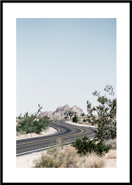 Joshua Tree Iphone (497x697), Png Download