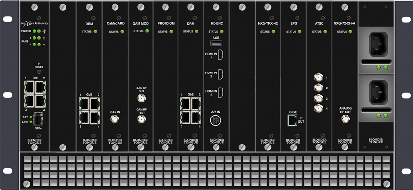 17 October, - Albert Hall Museum (850x515), Png Download