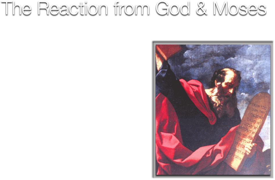 S11 - 1 - 1 - 1 - Fixed - Moses (1008x676), Png Download