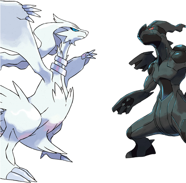 Reshiram Pokemon (601x601), Png Download