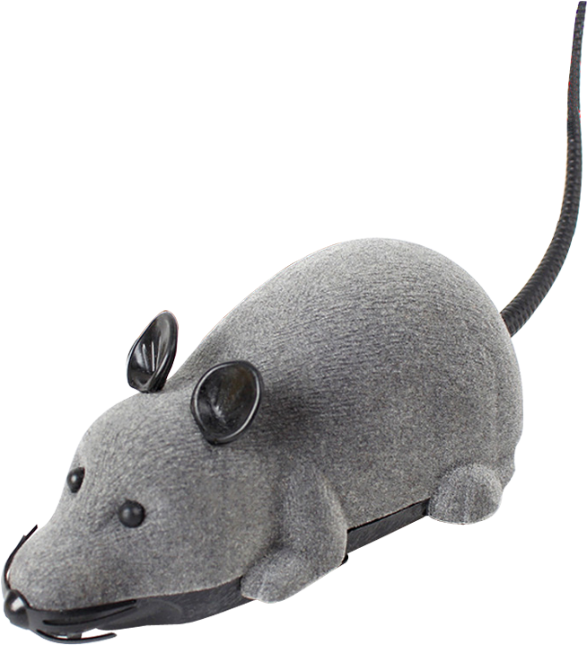 Cat Toy Pet Plush Vocal Cat Dog Toy Cat Funny Cat Stick - Cat Toys (800x800), Png Download