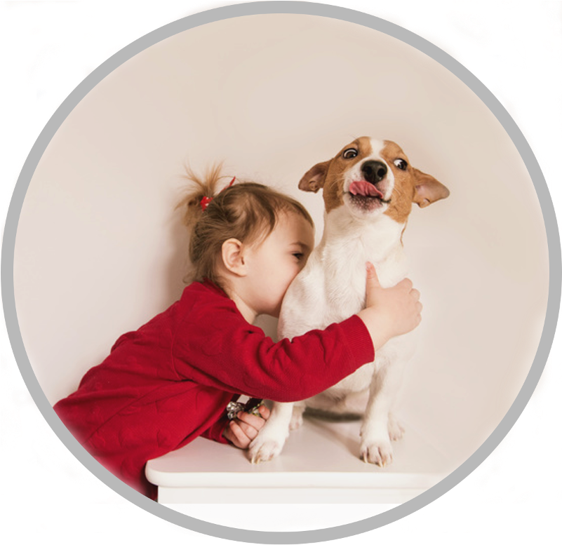 Paw (800x800), Png Download