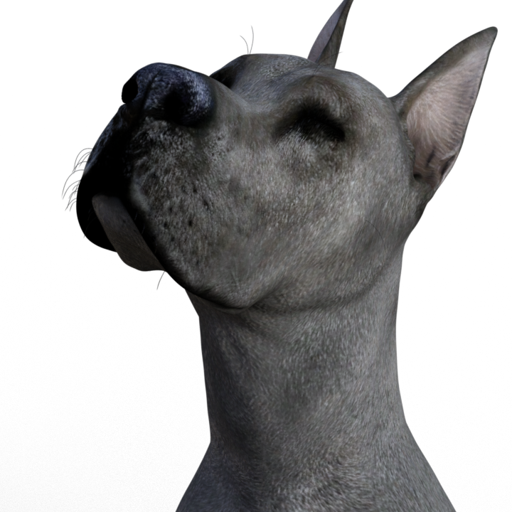 Beastiality / Vore - Great Dane (720x720), Png Download