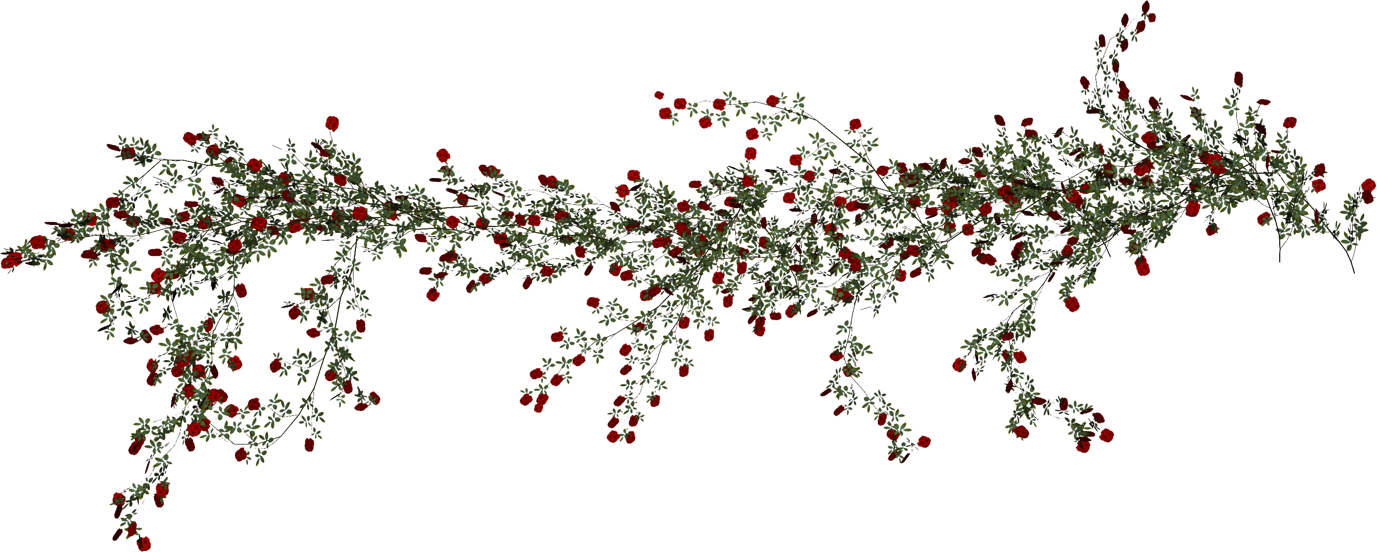 Rose Vine Beach Png Download Free Clipart - Floral Design (2789x1119), Png Download