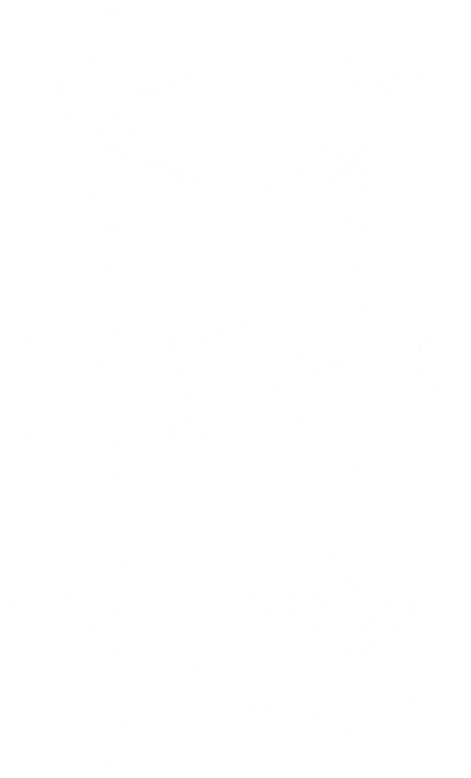 Free Png Snowflakes Set Png - Snowflakes (480x787), Png Download