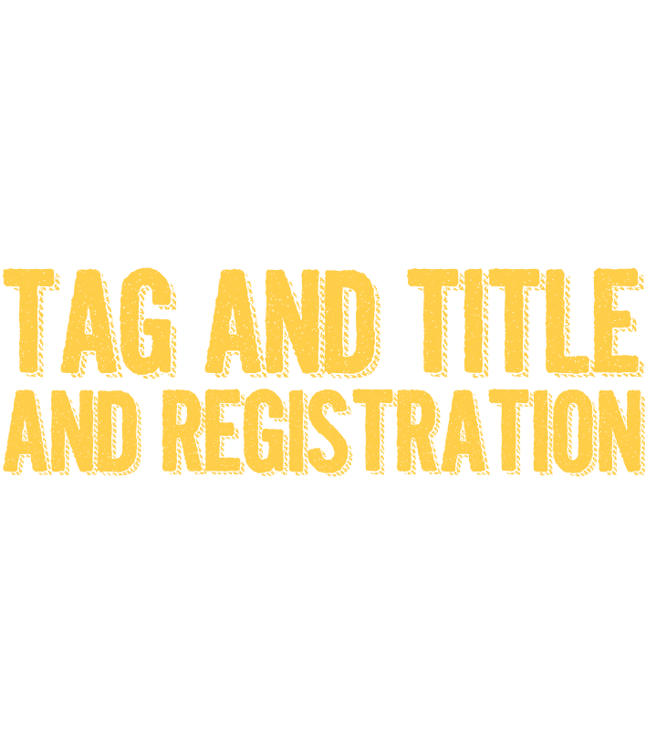 Let Freedom Ring With Your Tag And Title And Registeation - Poster (754x846), Png Download